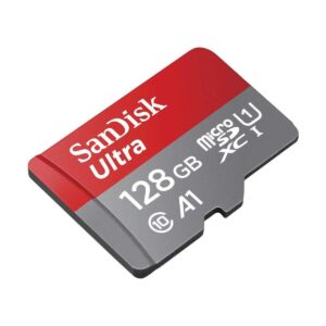 Micro SD Cards for Surveillance Cameras